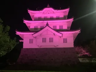 埼玉県 忍城 ライトアップ