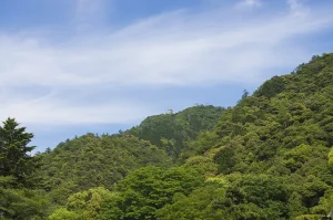 岐阜県の風景