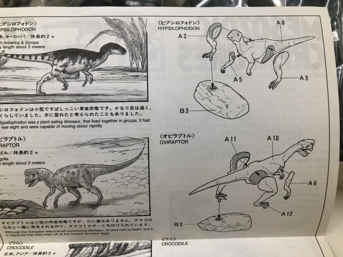 小型恐竜セット 説明書②