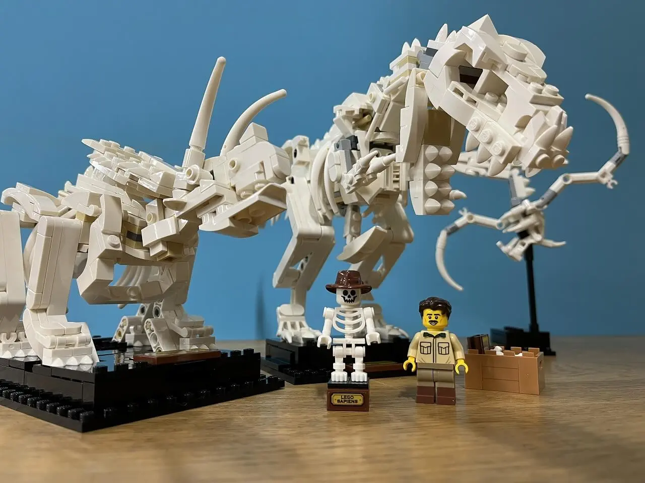 【店頭】東京都台東区のレゴ買取実績｜レゴアイデア「恐竜の化石」完成品