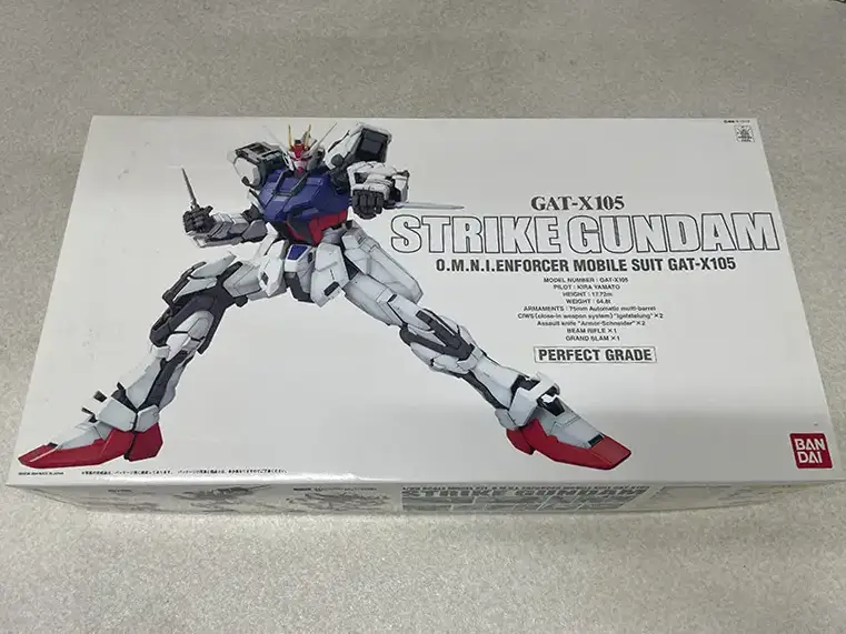 PG　1/60 ストライクガンダム